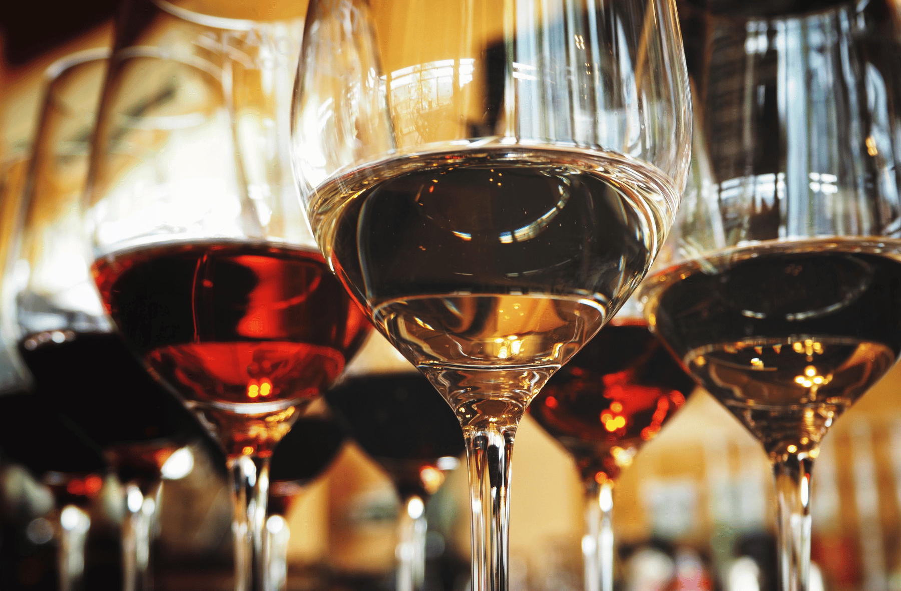 A row of wine glasses filled with different types of wine.