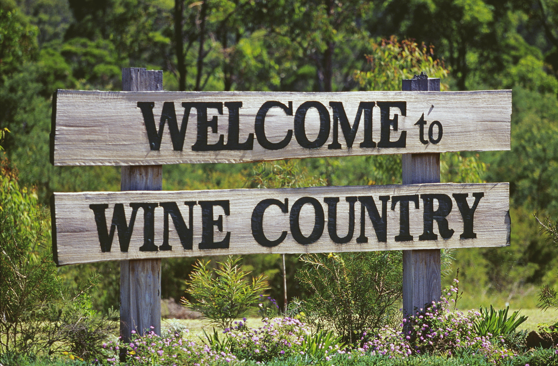 A wooden sign that says welcome to wine country