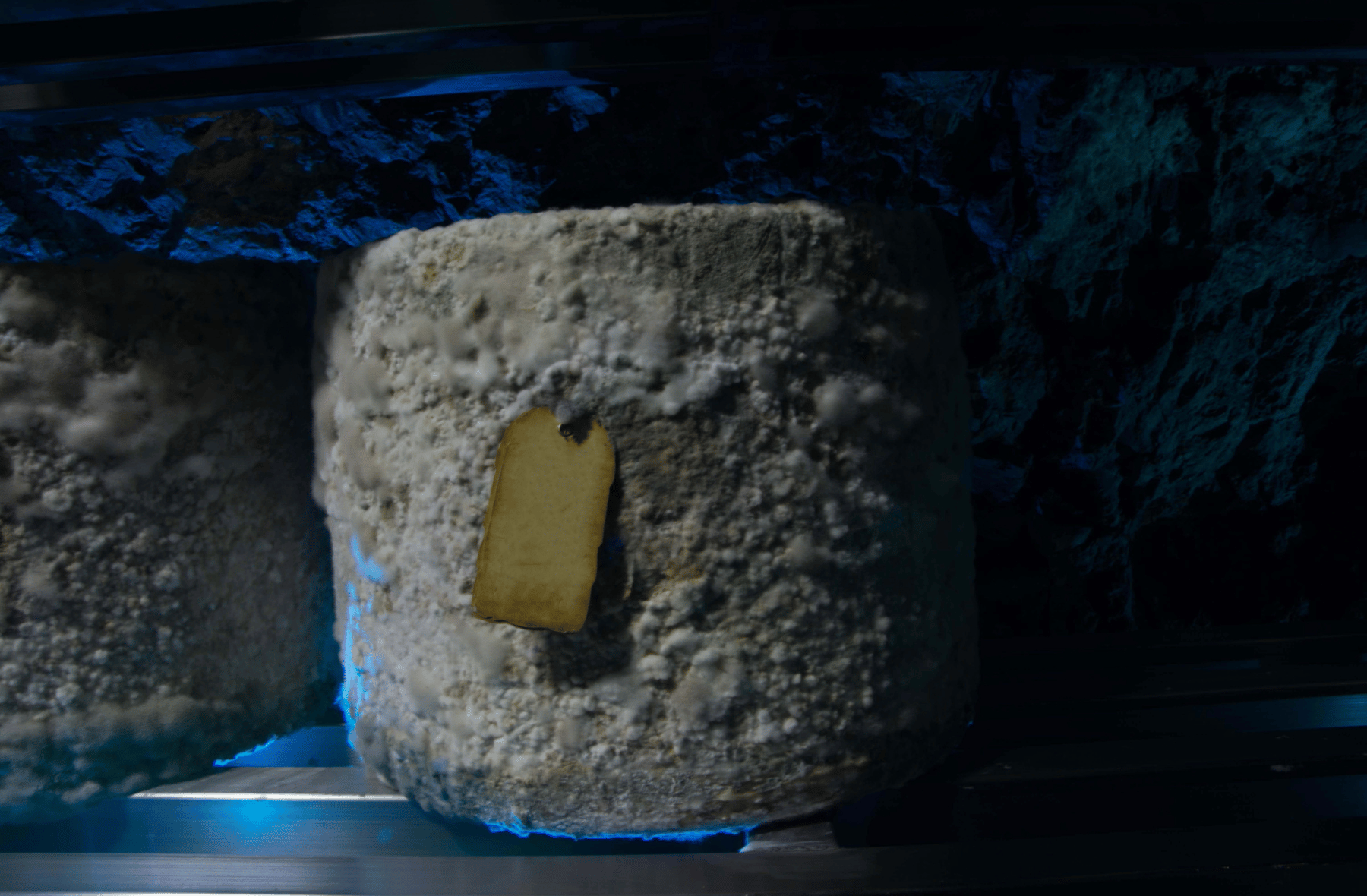 A close up of a piece of cheese sitting on top of a shelf.