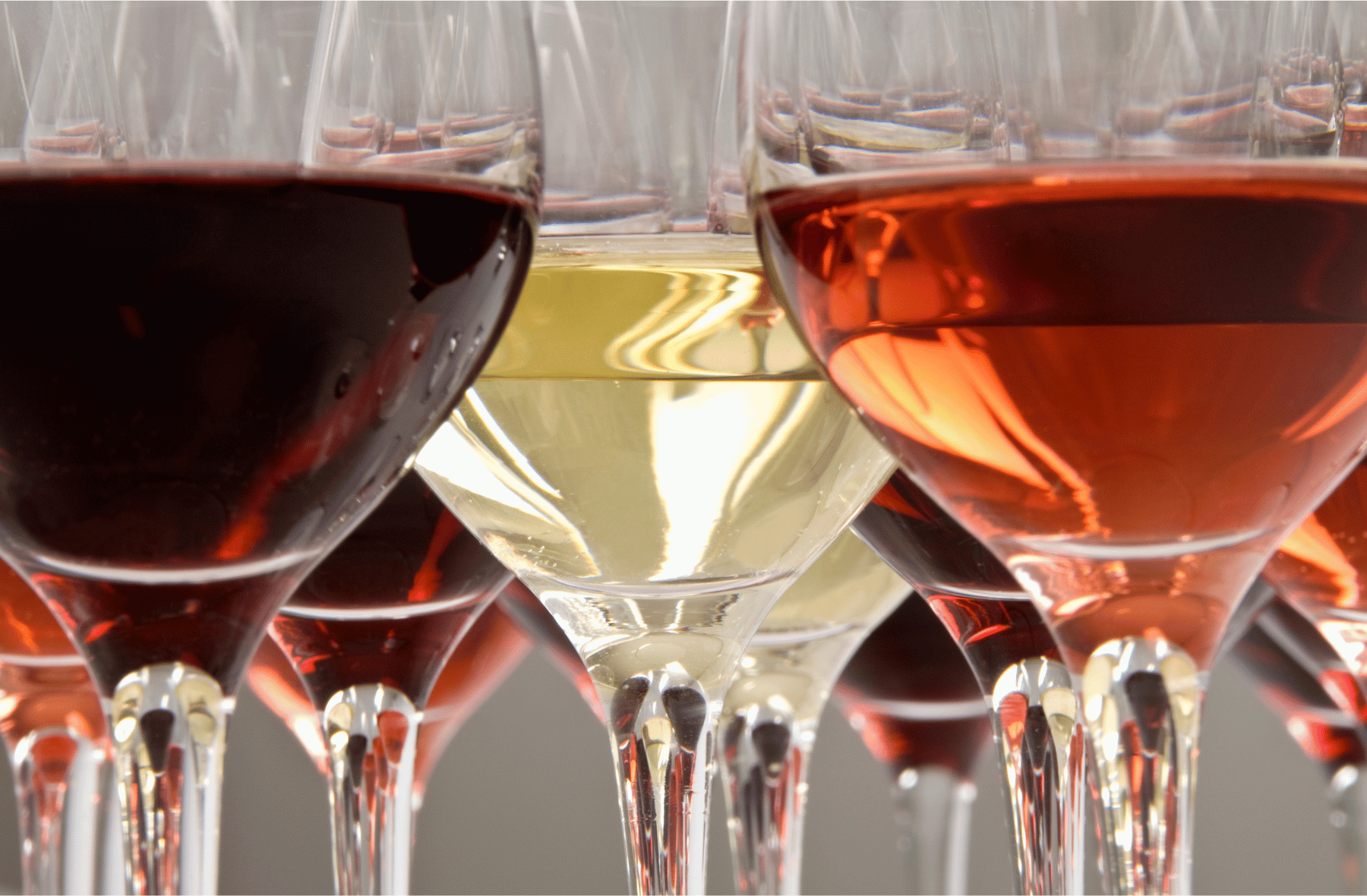 A row of wine glasses filled with different types of wine.