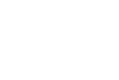 Adic Pro