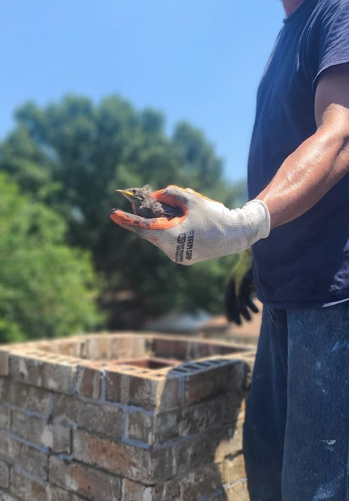 A man is holding a bird in his hand in front of a brick chimney.