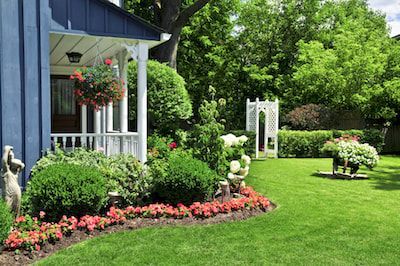 professional landscaper sarasota