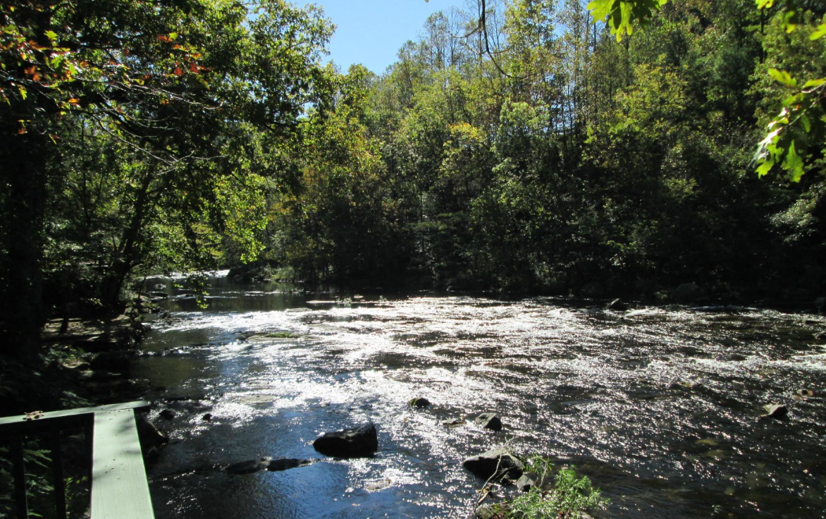 A river surrounded by trees on a sunny day