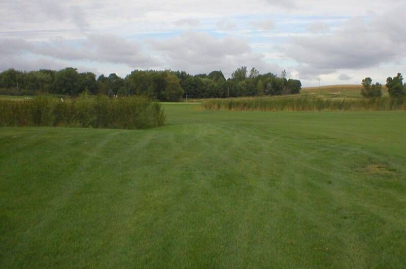 A lush green field with trees in the background and a cloudy sky