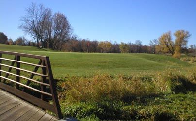 A bridge over a grassy field with trees in the background