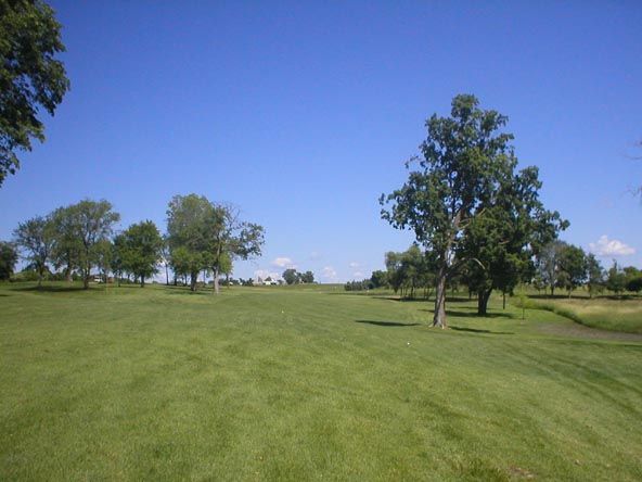 A lush green field with trees and a blue sky in the background