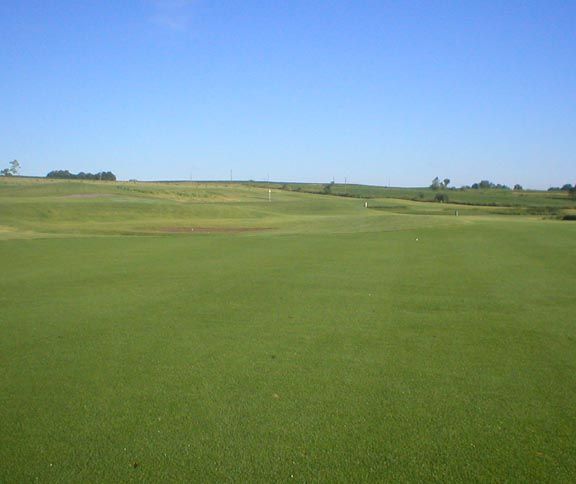 A lush green field with a blue sky in the background