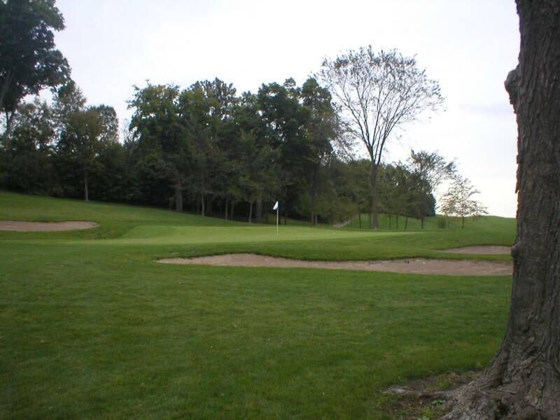 A golf course with a tree in the foreground