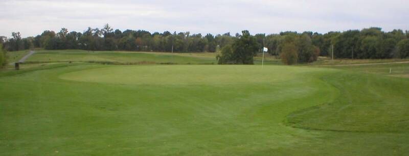 A golf course with a green and trees in the background