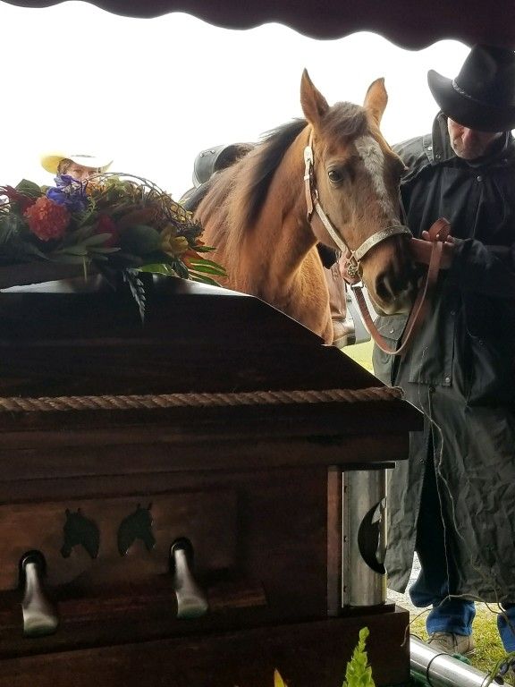 a man in a cowboy hat stands next to a horse in a coffin