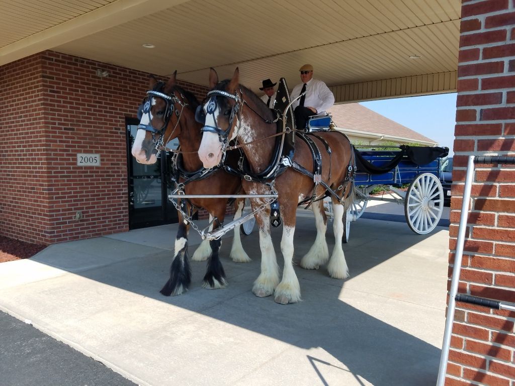 a horse drawn carriage is parked in front of a brick building