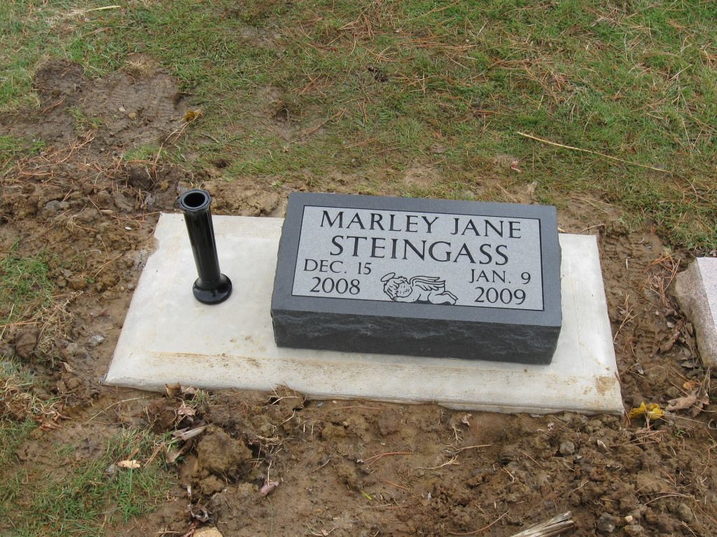 a gravestone for marley jane steingass who died on january 9 2009