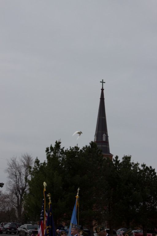 a white bird is flying in front of a church steeple