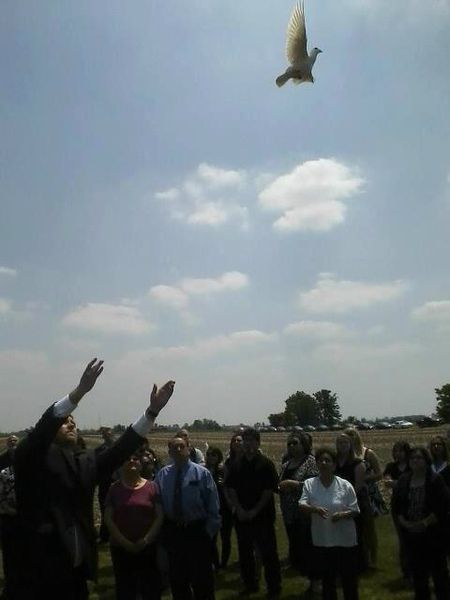 a man is throwing a dove into the air while a group of people watch .
