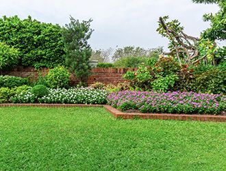 A lush green lawn with purple and white flowers and a brick wall in the background.