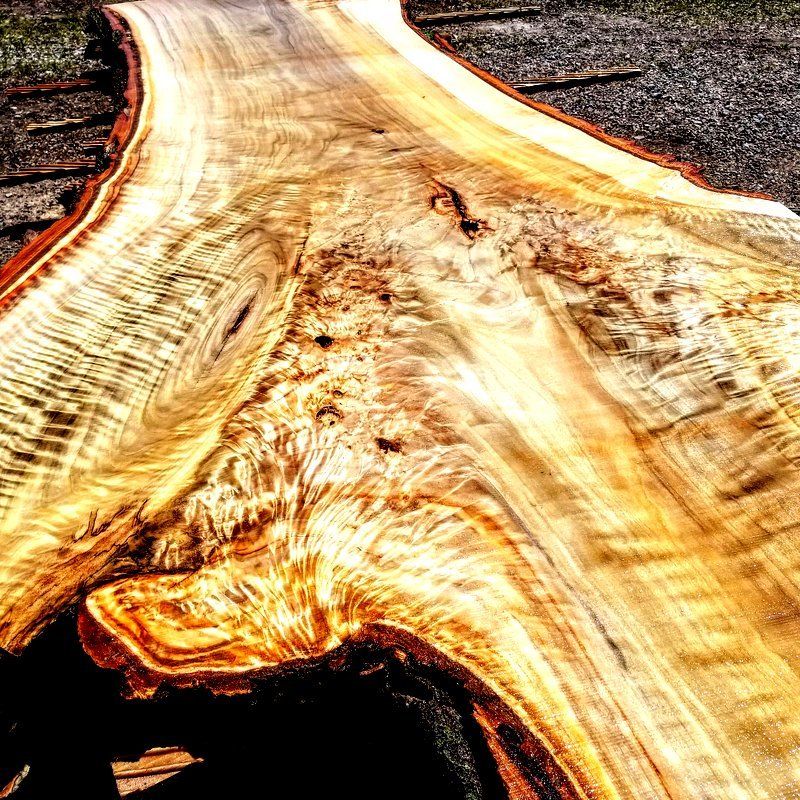Large live edge slabs for sale