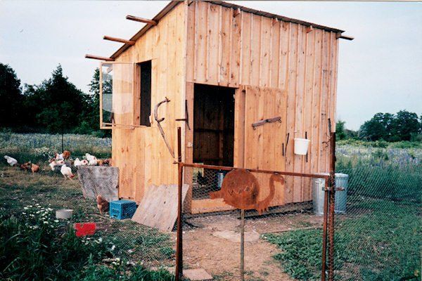 chicken coop built with sawmill milled lumber