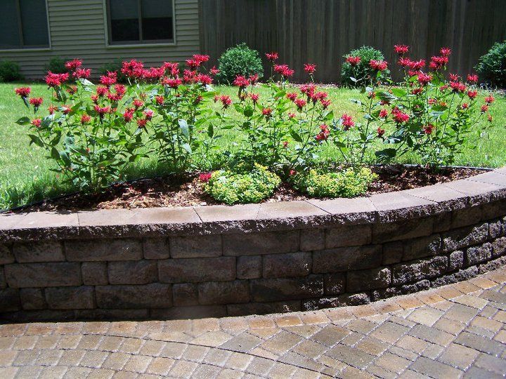 Beautiful Red Flowers — Saint Augusta, MN — Outside Design