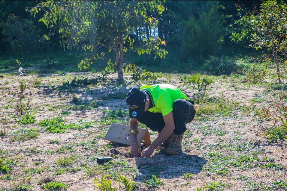 Person in bright green shirt crouches, examining target in a field with trees in the background.