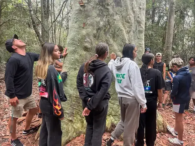 Group of people examining a large tree in a forest. Some touching or looking up. Overcast.