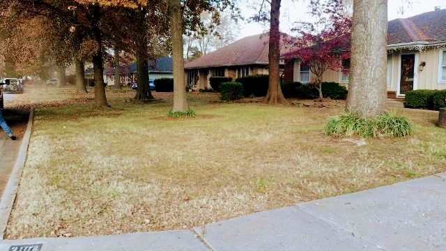 Grassy yard with trees and houses, person walking, gray sidewalk. Brown and green colors.