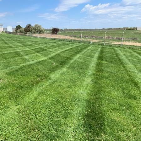 Lawn with a checkerboard pattern mowed into the grass on a sunny day.