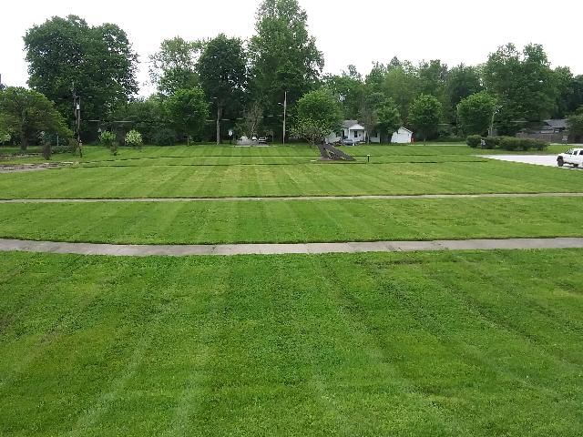 A well-mowed green lawn with trees and houses in the background under a cloudy sky.
