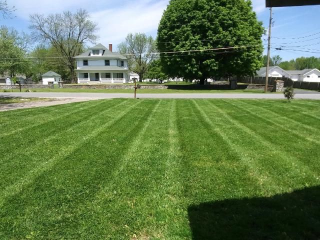 Lawn mowed with alternating light and dark green stripes, a house, and trees in the background under a bright sky.