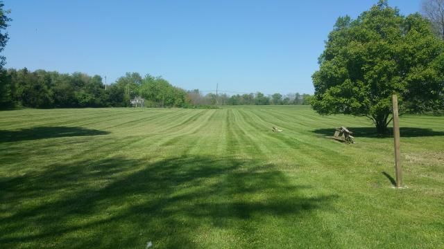Lawn with mowed stripes, tree, and blue sky.