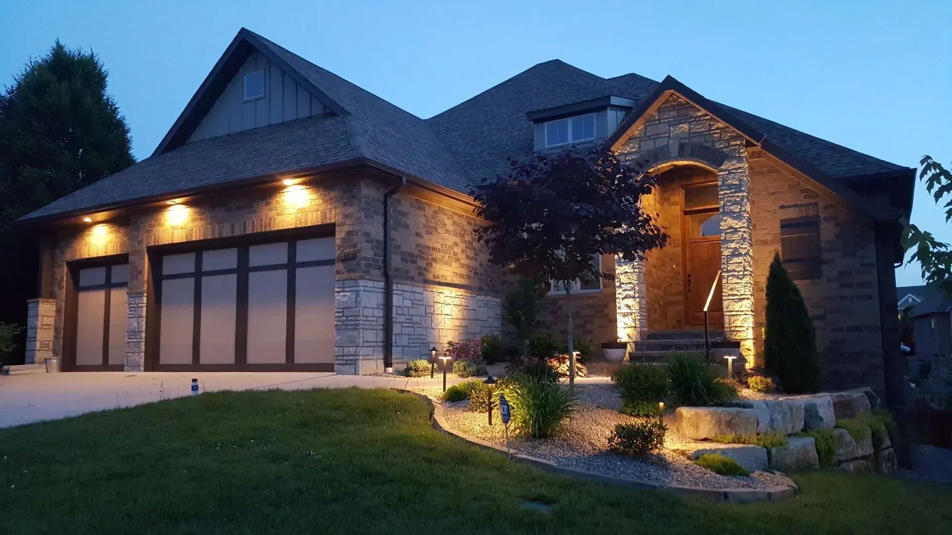 Illuminated garden with small lights among bushes and plants at night.