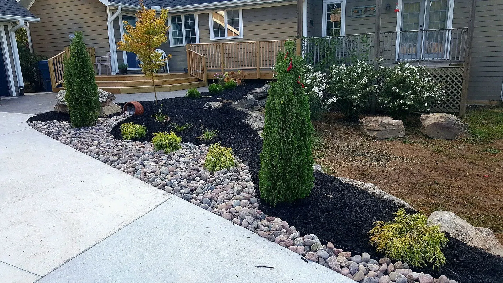 Landscaped yard with black mulch and rock border, green plants, and a house in the background.