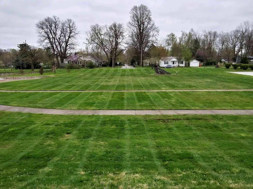 Lawn with freshly cut stripes; trees and houses in background under a cloudy sky.