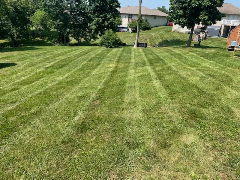 Lawn mowed with stripes, green grass, trees, and houses in the background on a sunny day.