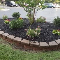 Flowerbed with dark mulch, various green plants, and a retaining wall near a parking area.