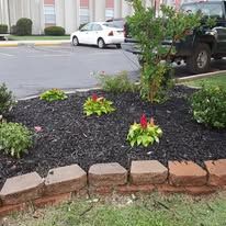 Flower bed with red flowers, edged by bricks, in front of a building and a parked car.