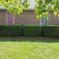 Brick house with green hedges and lawn; some tree branches in the foreground.