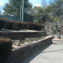 Wooden retaining walls holding soil, with bushes and plants along a pathway.