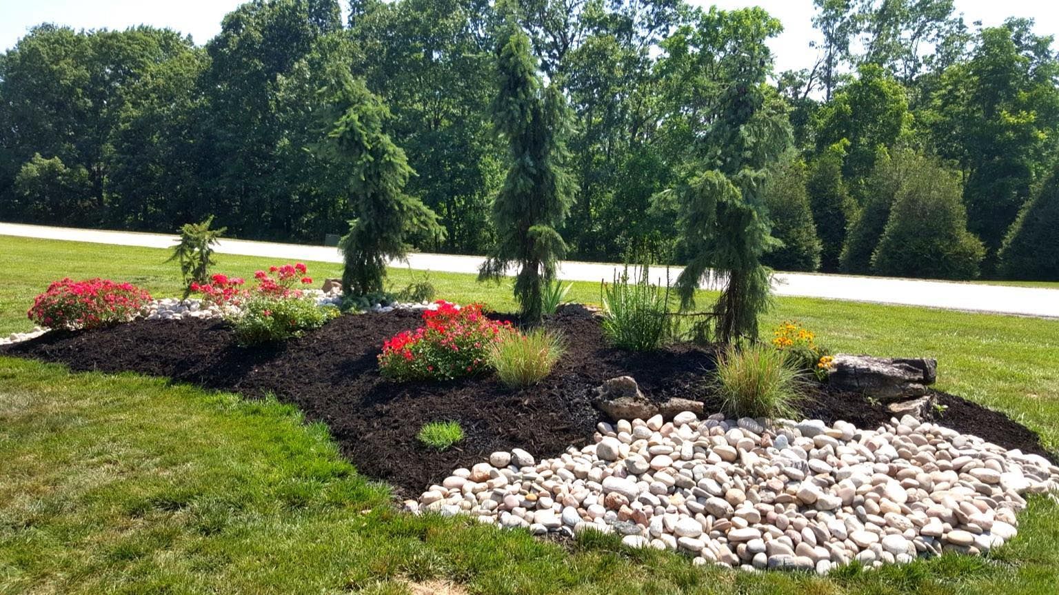 Landscaped garden bed with red flowers, dark mulch, and light-colored stones, with trees and green grass.