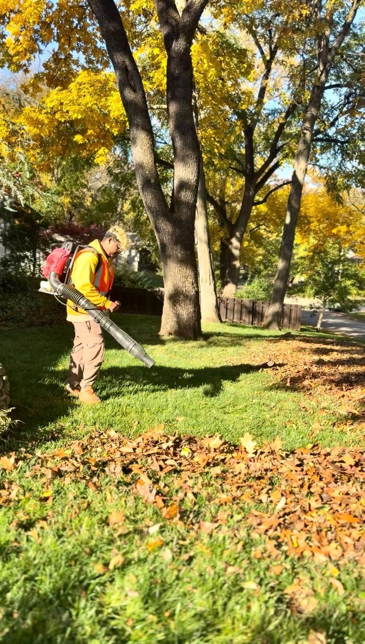 Grassy slope with drainage pipe, rocks, and building with V logo under blue sky.