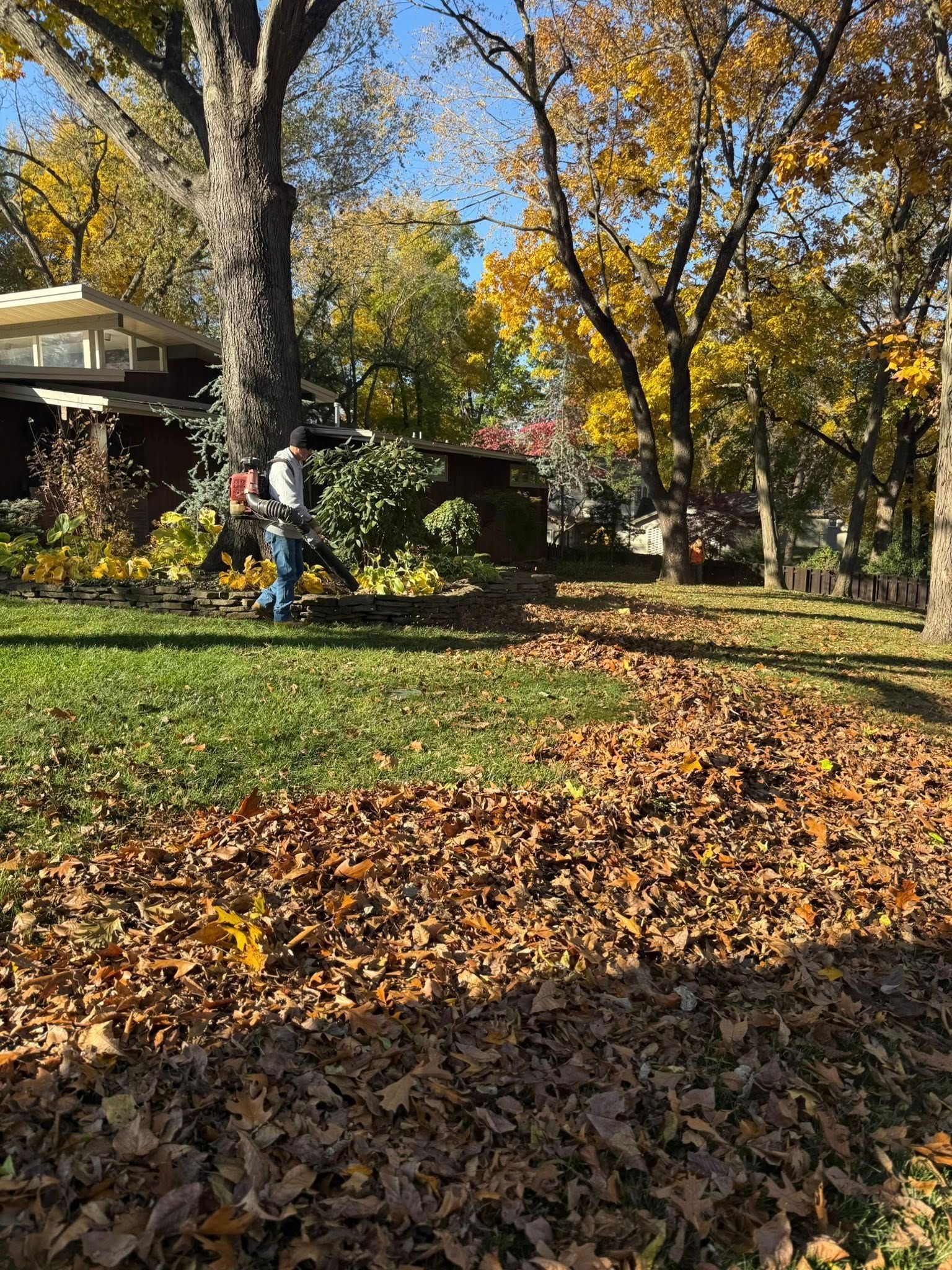 Person using leaf blower on a lawn with large piles of brown leaves in front of a house, sunny day.