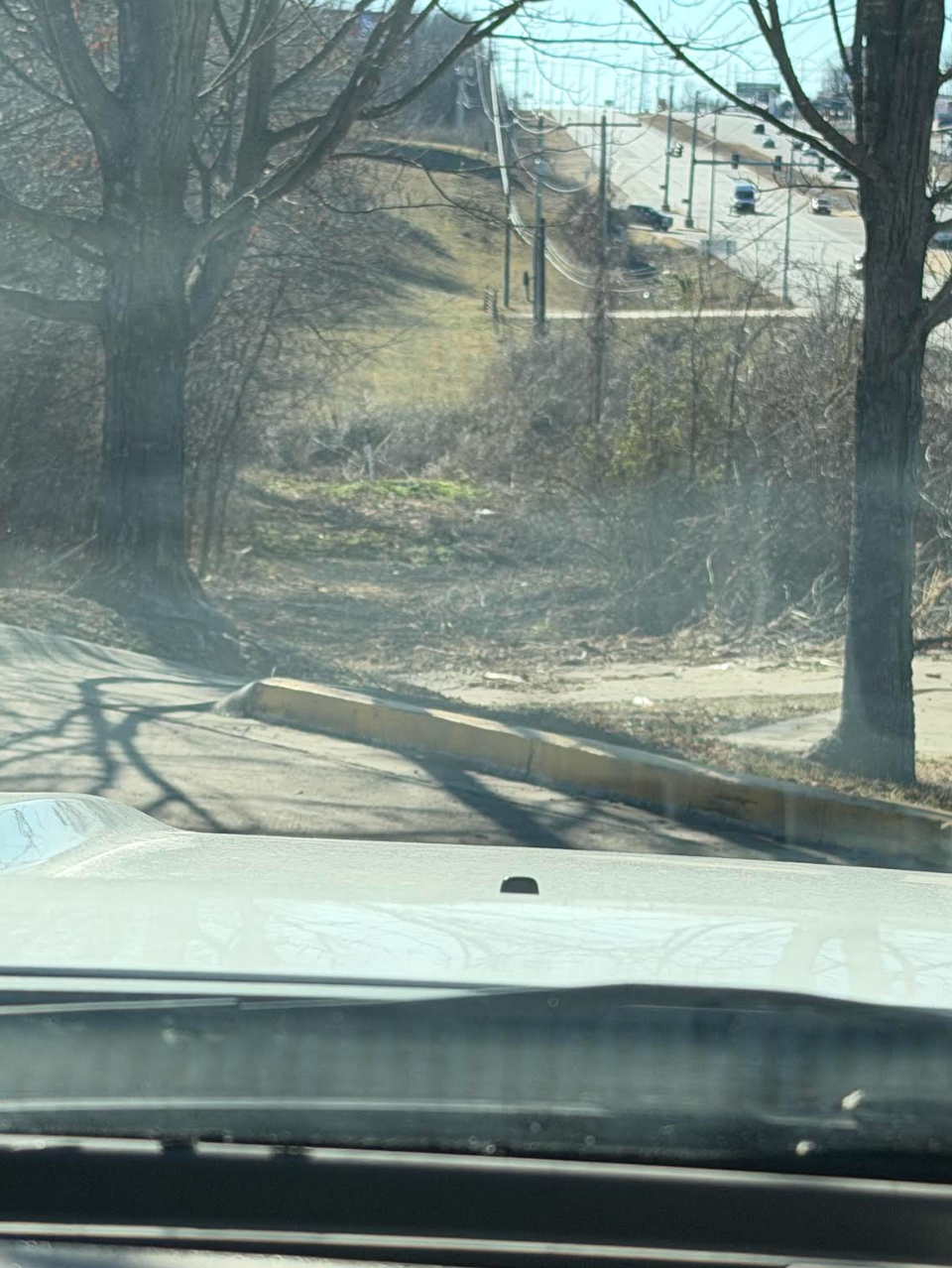 Illuminated garden with small lights among bushes and plants at night.