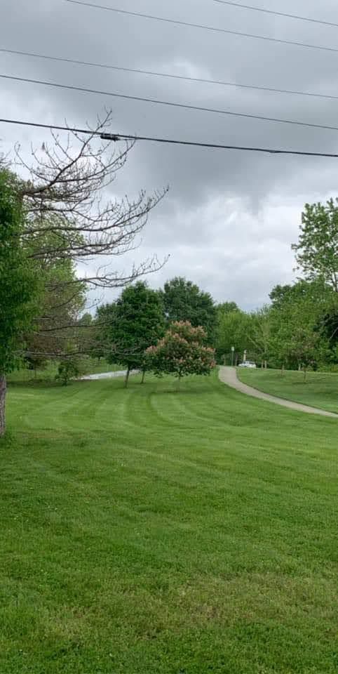 Lush green lawn with trees, a walking path, and cloudy sky.