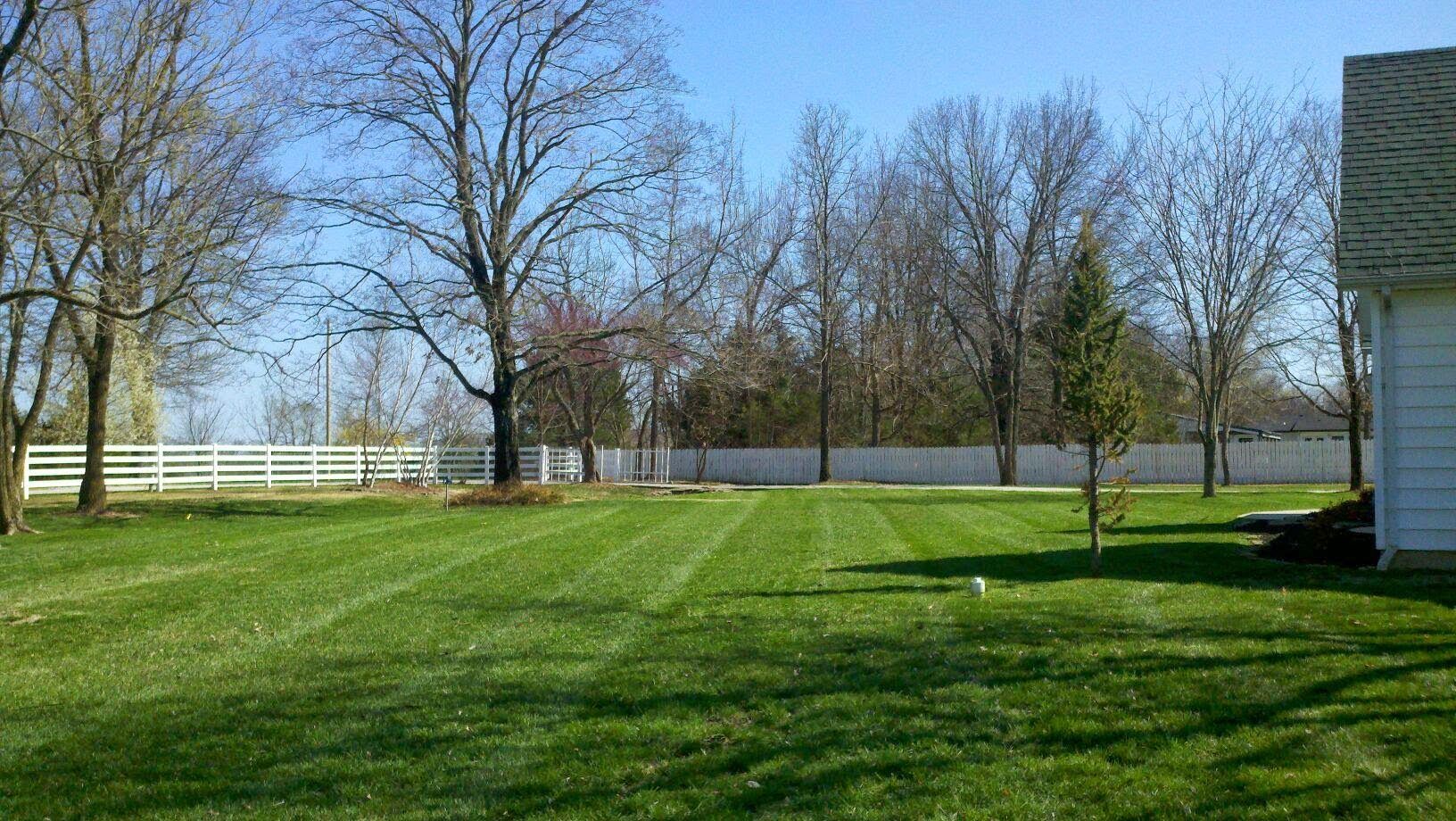 Green lawn with freshly cut stripes; white fence and trees in background under a blue sky.