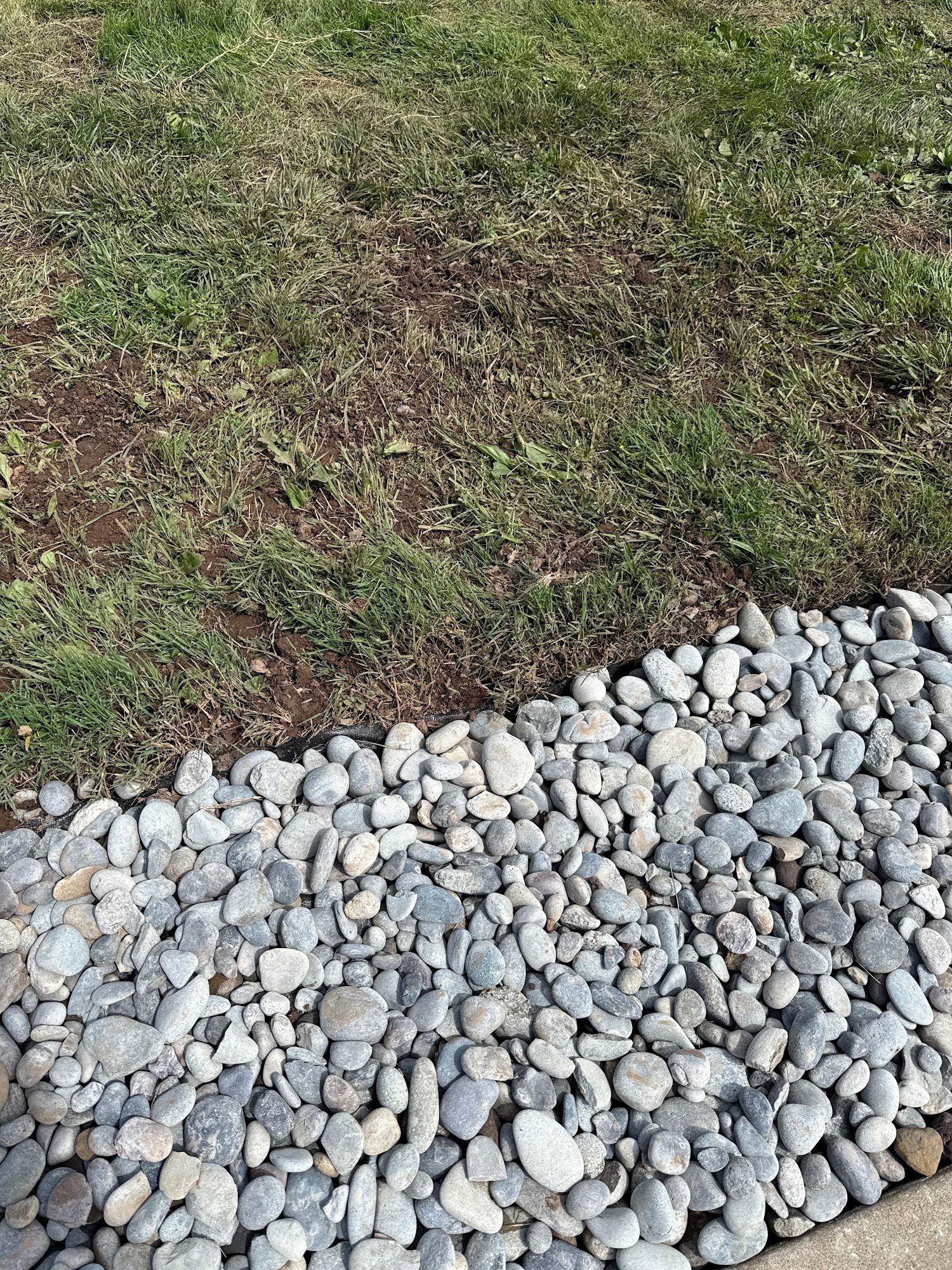Gray river rock border separating grass from a concrete edge.
