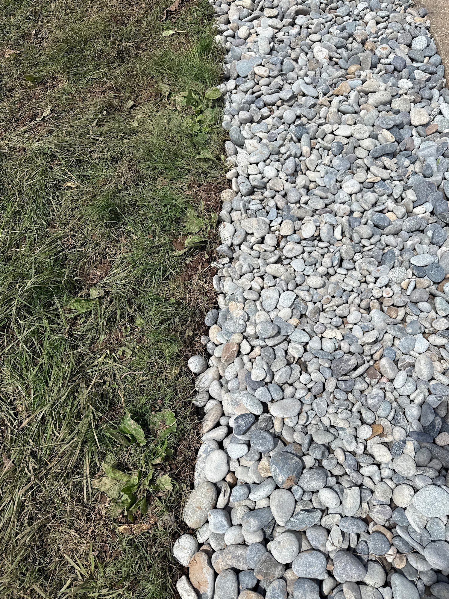 Green grass borders a gray gravel walkway.