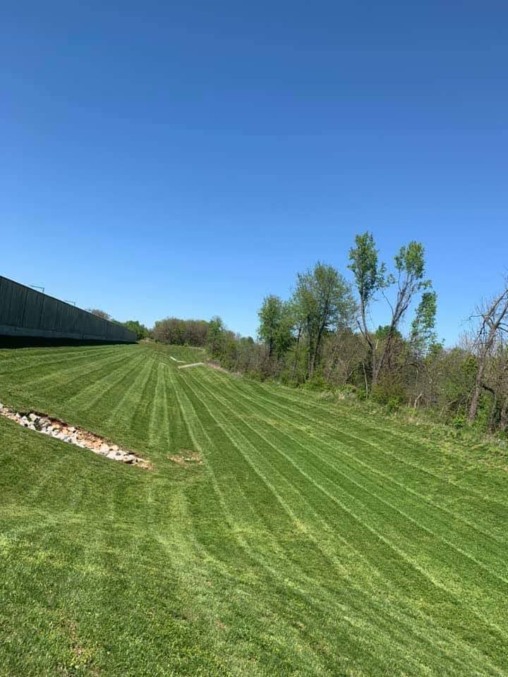 Lawn mowed in parallel lines next to a wooded area and a fence, under a clear blue sky.
