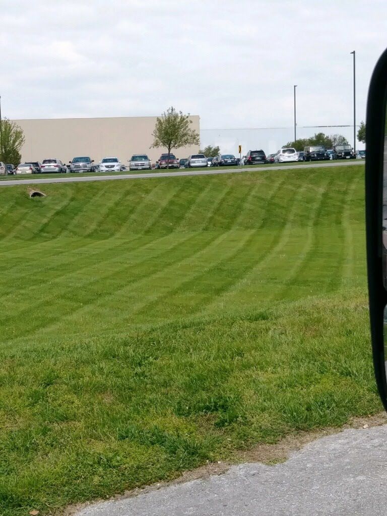 Green grassy hill with striped mowing pattern, cars parked along the top, cloudy sky.