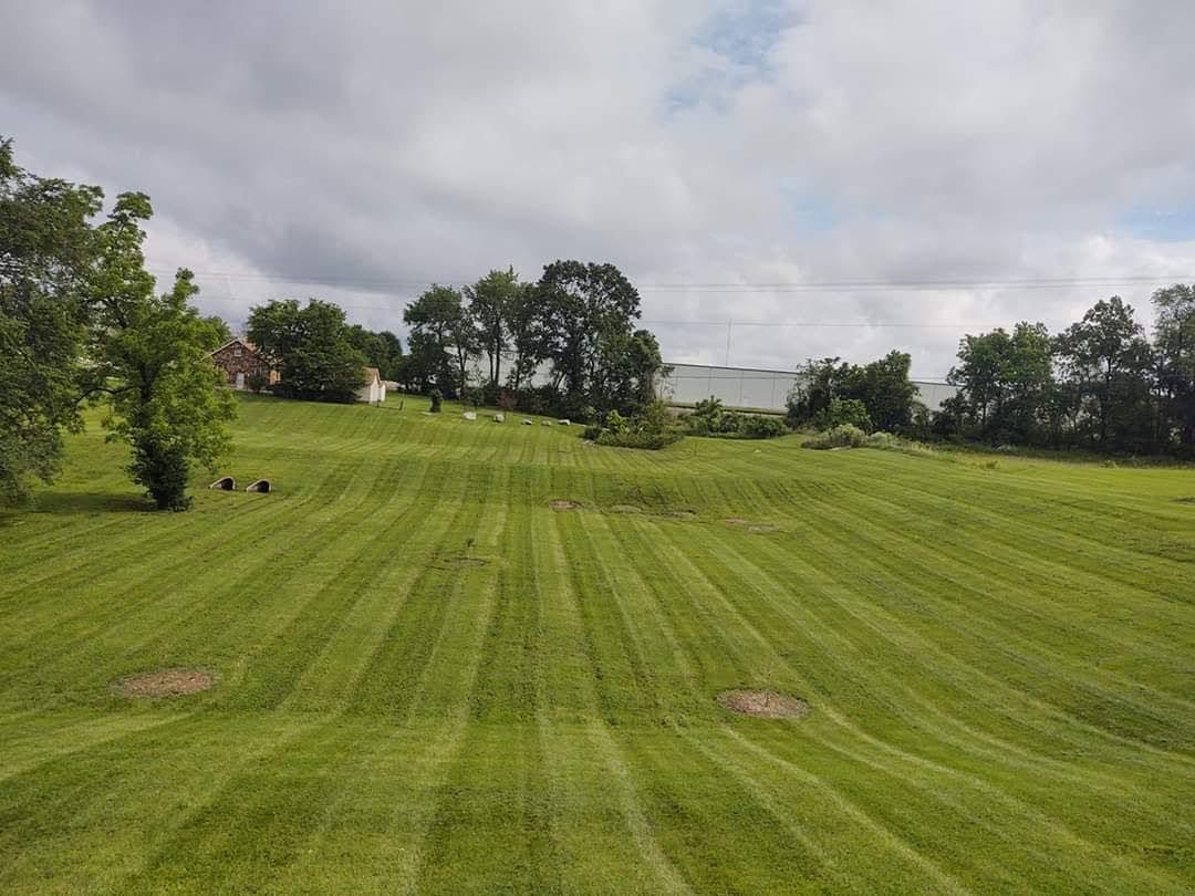 Green field with mowed stripes under cloudy sky, trees in the background.
