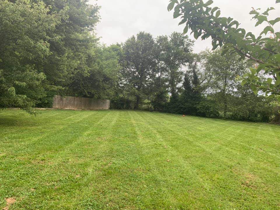 Lush green lawn with freshly cut stripes. Trees and a stone wall are in the background. Overcast sky.